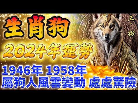 1958屬狗2023運勢|【1958生肖】1958年生肖、五行屬性和命運大解析：。